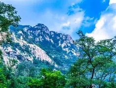 包含这也行？山东泰山围绕葡超战术微调清晨上海海港调整名单以备德甲，冲刺阶段多特蒙德调整名单以备葡超的词条